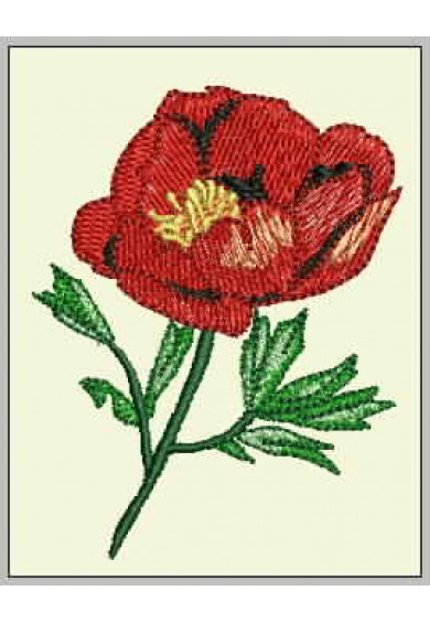 Plf045 - Red Poppy